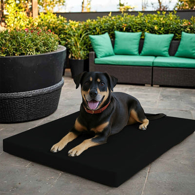Pet Bed
