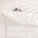 Cot/Cot Bed Duvet Sets & Seperate