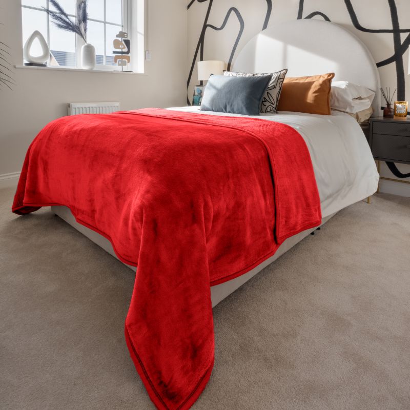 Soft & Warm Mink Throw Blanket