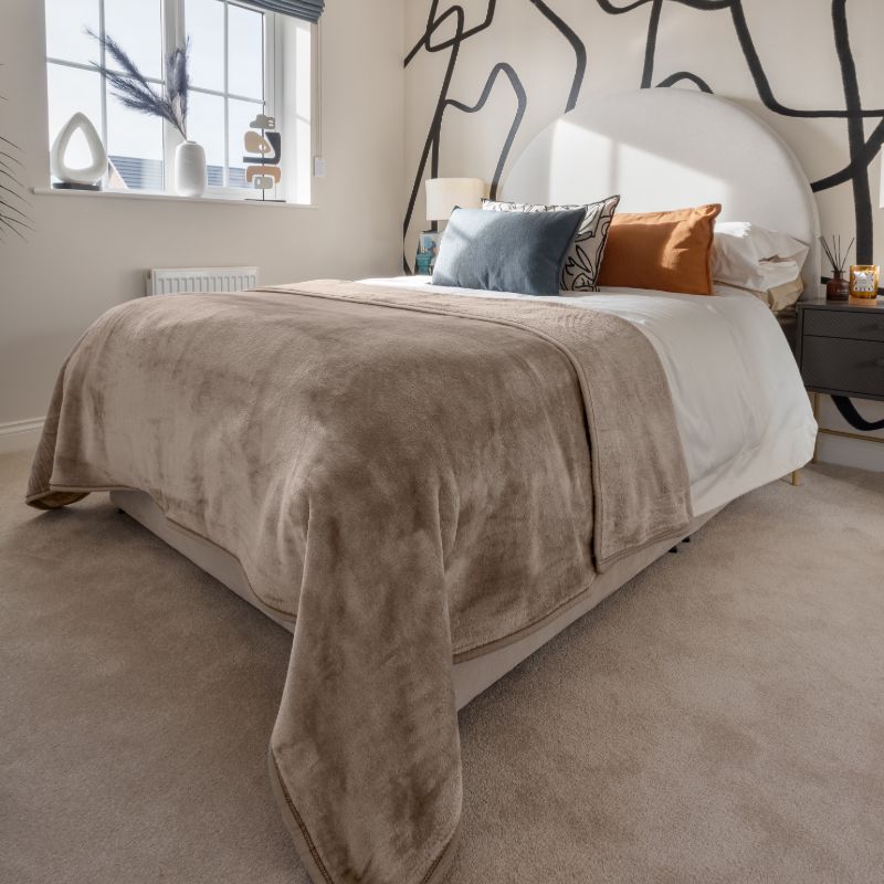 Soft & Warm Mink Throw Blanket