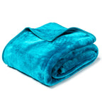 Soft & Warm Mink Throw Blanket