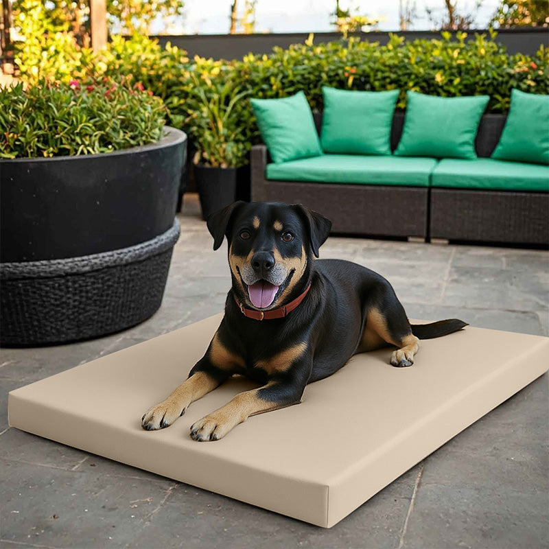 Large Dog Pet Bed Mat Water Resistant Removable Cover 5cm Thick Mattress