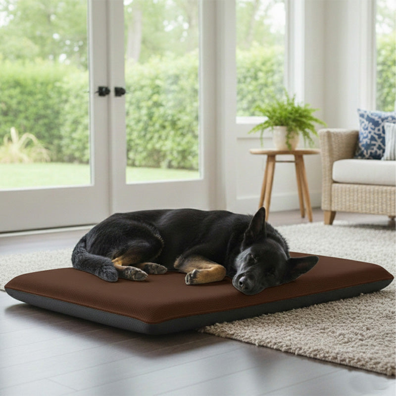 Fleece Large Pet Bed Soft Warm Washable Dog and Cat Bed for Cozy Comfort