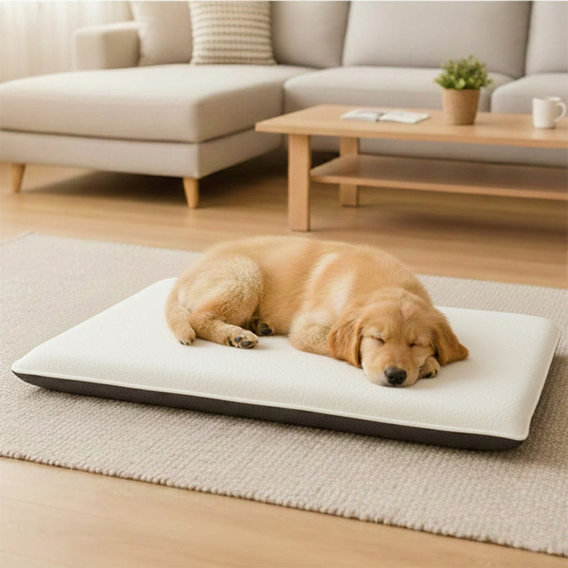 Fleece Large Pet Bed Cover Soft Warm Washable Dog and Cat Bed for Cozy Comfort