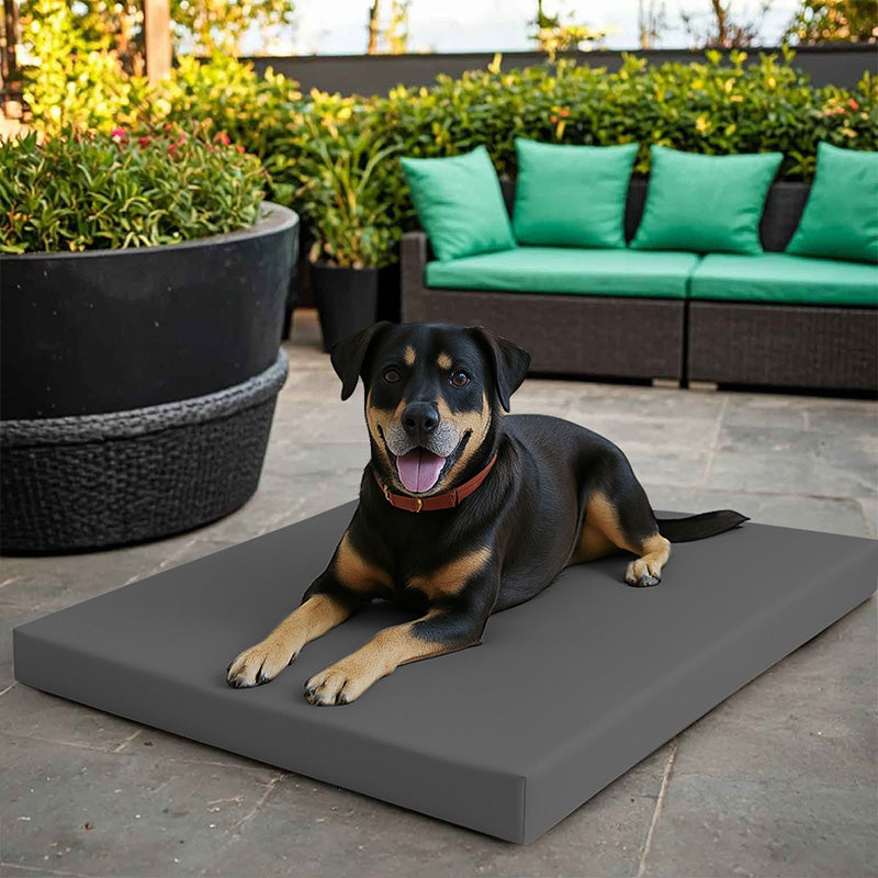 Large Dog Pet Bed Mat Water Resistant Removable Cover 5cm Thick Mattress