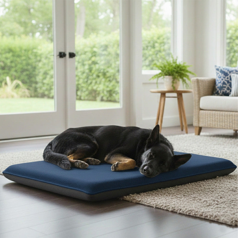 Fleece Large Pet Bed Soft Warm Washable Dog and Cat Bed for Cozy Comfort