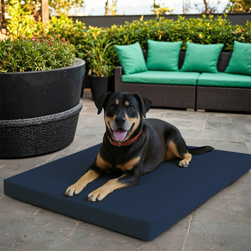 Large Dog Pet Bed Mat Water Resistant Removable Cover 5cm Thick Mattress