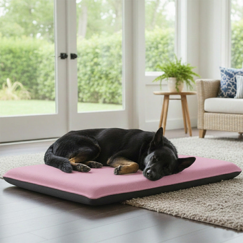 Fleece Large Pet Bed Soft Warm Washable Dog and Cat Bed for Cozy Comfort