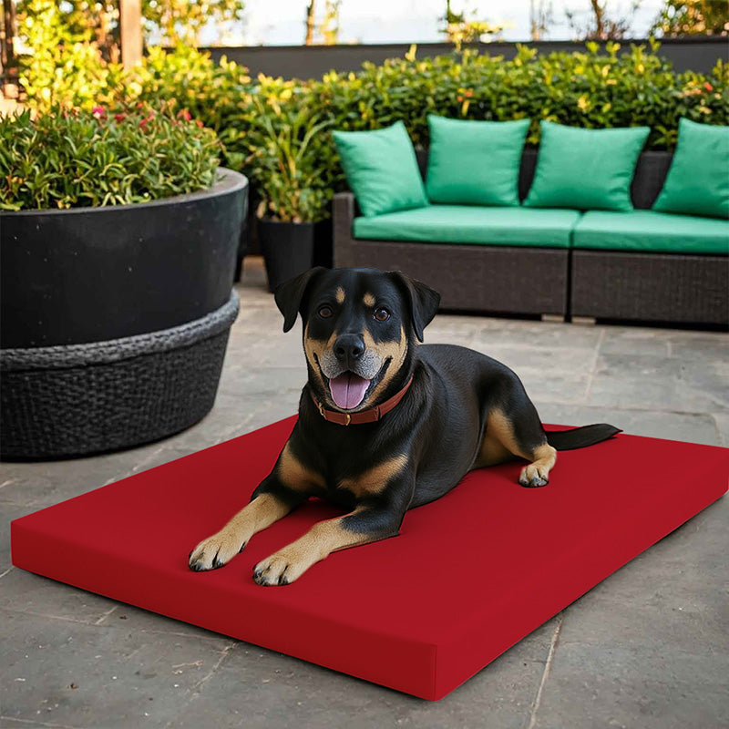 Large Dog Pet Bed Mat Water Resistant Removable Cover 5cm Thick Mattress
